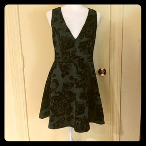 NWT Emerald and Black Velvet rose dress